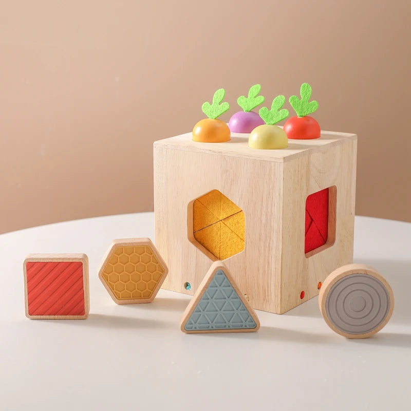 Brinquedo Multifuncional Montessori