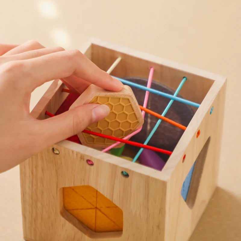 Brinquedo Multifuncional Montessori